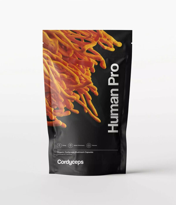 Human pro Cordyceps huba