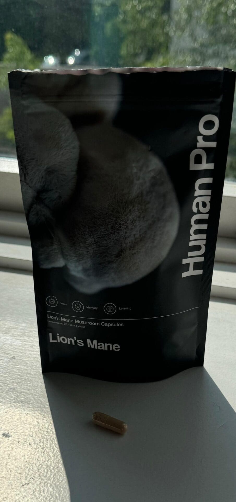 Human pro Levia hriva - Korálovec ježovitý - 100% huby lions mane photo review
