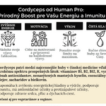 Cordyceps sinesis kapsule